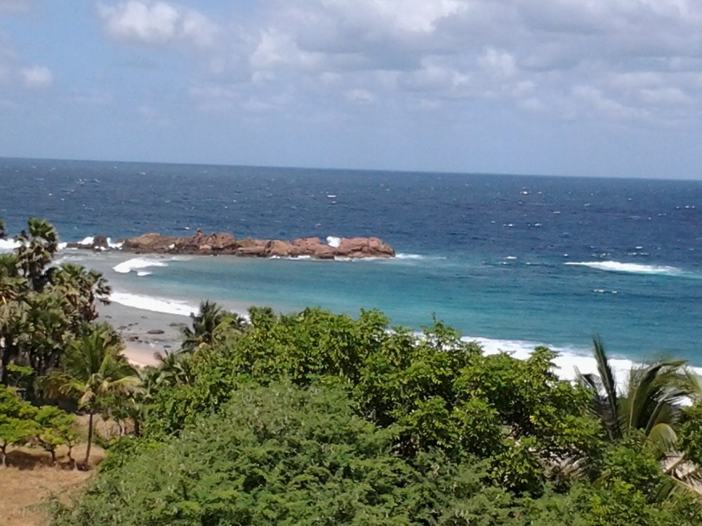 foreign direct investment in Indonesia